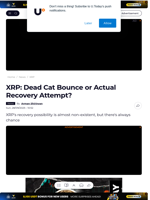 XRP: Dead Cat Bounce or Actual Recovery Attempt? - U.Today