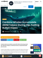 Cardano News: Cardano Whales Accumulate 200M Tokens During Dip, Fueling Bullish Hopes | Live Bitcoin News