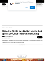 Shiba Inu (SHIB) Key Bullish Metric Just Spikes 20%, but There's Silver Lining - U.Today