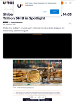 Shiba Inu Open Interest Collapses, 14.03 Trillion SHIB in Spotlight