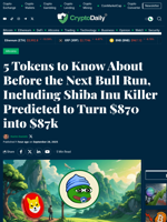 5 Tokens to Know About Before the Next Bull Run, Including Shiba Inu Killer Predicted to Turn $870 into $87k - Crypto Daily