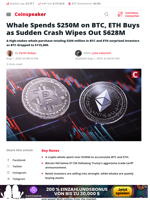 $250M Whale Buy Follows $628M Crypto Crash