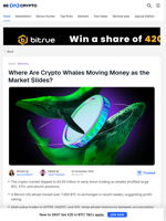Crypto Whales Move Millions as Market Pulls Back