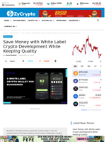 Save Money with White Label Crypto Development While Keeping Quality