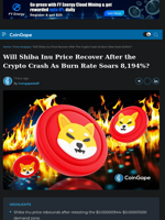 Will Shiba Inu Price Recover As Burn Rate Soars 8,194%?