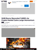 SHIB Burns Skyrocket 11,899% As Crypto Market Gains Large Momentum