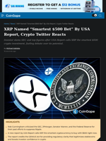 XRP Named “Smartest $500 Bet” By USA Report, Crypto Twitter Reacts