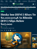 Husky Inu (HINU) Rises To $0.00020748 As Bitcoin (BTC) Slips Below $117,000 - Crypto Daily