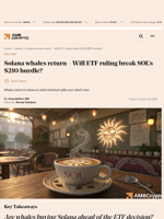 Solana whales return - Will ETF ruling break SOL's $210 hurdle? - AMBCrypto