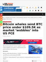 Bitcoin whales send BTC price under $109.5K as market ‘wobbles’ into US PCE - The Crypto News Wire