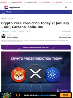 Crypto Price Prediction Today: XRP, Cardano, Shiba Inu