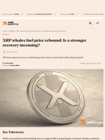 XRP whales fuel price rebound: Is a stronger recovery incoming? - AMBCrypto
