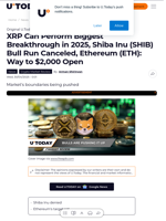 XRP Can Perform Biggest Breakthrough in 2025, Shiba Inu (SHIB) Bull Run Canceled, Ethereum (ETH): Way to $2,000 Open