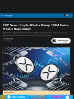 XRP News: Ripple Whales Dump 370M Coins; What's Happening?