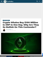 Crypto Whales Buy $100 Million In XRP In One Day, Why Are They So Bullish On This Contender? - TechBullion