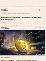 Shiba Inu (SHIB) poised for 8.75% rally, Here’s why