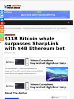 $11B Bitcoin whale surpasses SharpLink with $4B Ethereum bet - The Crypto News Wire