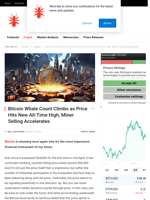 Bitcoin Whale Count Climbs as Price Hits New All-Time High, Miner Selling Accelerates - NullTX