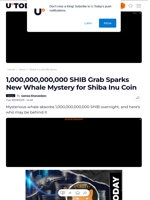 1,000,000,000,000 SHIB Grab Sparks New Whale Mystery for Shiba Inu Coin - U.Today