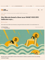 Has Bitcoin found a floor near $86K? ONE BTC indicator says… - AMBCrypto