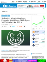 Shiba Inu Whale Holdings Explode 3,000% as SHIB Eyes 300% Rally Like 2023 ⋆ ZyCrypto