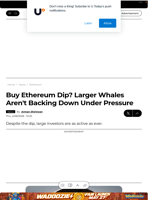 Buy Ethereum Dip? Larger Whales Aren't Backing Down Under Pressure - U.Today