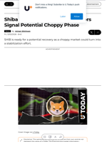 Shiba Inu (SHIB) Outlook: Indicators Signal Potential Choppy Phase - U.Today