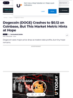 Dogecoin (DOGE) Crashes to $0.12 on Coinbase, But This Market Metric Hints at Hope - U.Today