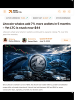 Litecoin whales add 7% more wallets in 5 months - Yet LTC is stuck near $44 - AMBCrypto