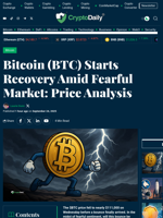 Bitcoin (BTC) Starts Recovery Amid Fearful Market: Price Analysis - Crypto Daily