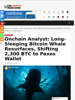 Onchain Analyst: Long-Sleeping Bitcoin Whale Resurfaces, Shifting 2,300 BTC to Paxos Wallet - The Crypto News Wire