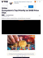 Shiba Inu Major Dev Unveils Ecosystem's Top Priority as SHIB Price Dips