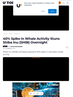 40% Spike in Whale Activity Stuns Shiba Inu (SHIB) Overnight - U.Today