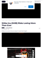 Shiba Inu (SHIB) Risks Losing More Than Ever - U.Today