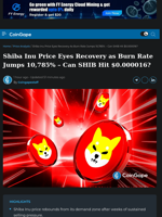 Shiba Inu Price Eyes Recovery as Burn Rate Jumps 10,785%