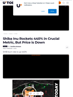 Shiba Inu Rockets 440% in Crucial Metric, But Price is Down - U.Today