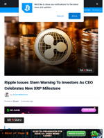 Ripple Issues Stern Warning To Investors As CEO Celebrates New XRP Milestone | Bitcoinist.com