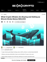 What Crypto Whales Are Buying and Selling as Bitcoin Broke Below $66,000