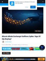 Bitcoin Whale Exchange Outflows Spike: Sign Of Dip Buying?