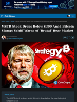 MSTR Stock Drops Below $300 Amid Bitcoin Slump; Schiff Warns of ‘Brutal’ Bear Market