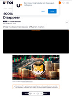 -100%: Shiba Inu (SHIB) Whales Disappear