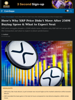 Here’s Why XRP Price Didn’t Move After 250M Buying Spree & What to Expect Next