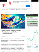 Spike in Whale Transfers Signals Potential Reversals for Top Cryptocurrencies - NullTX