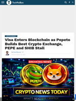 Visa Enters Blockchain as Pepeto Builds Best Crypto Exchange, PEPE and SHIB Stall - TechBullion