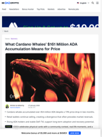 Smart Money Buys Cardano While Retail Exits: What It Signals