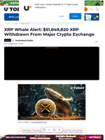 XRP Whale Alert: $51,849,820 XRP Withdrawn From Major Crypto Exchange