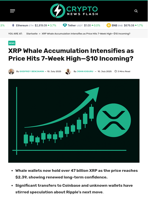 XRP Whale Accumulation Intensifies as Price Hits 7-Week High