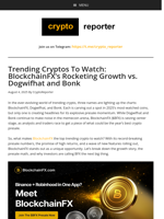 Trending Cryptos To Watch: BlockchainFX’s Rocketing Growth vs. Dogwifhat and Bonk