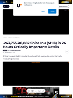 -243,735,301,882 Shiba Inu (SHIB) in 24 Hours Critically Important: Details - U.Today