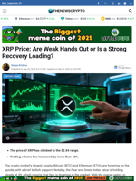 XRP Price: Are Weak Hands Out or Is a Strong Recovery Loading?